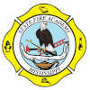 MSFA Logo